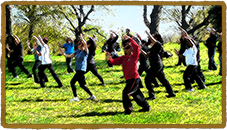 Wu Style Tai Chi Chuan